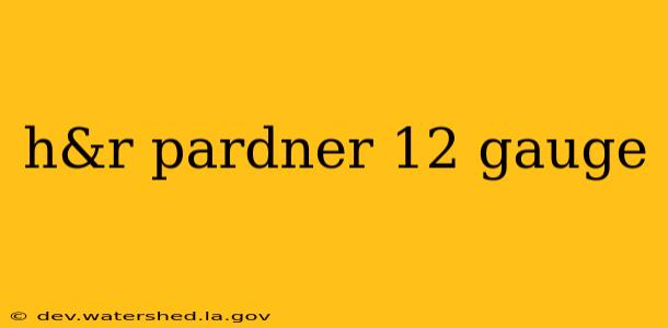 h&r pardner 12 gauge