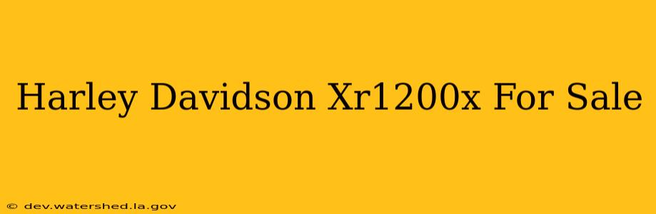 harley davidson xr1200x for sale