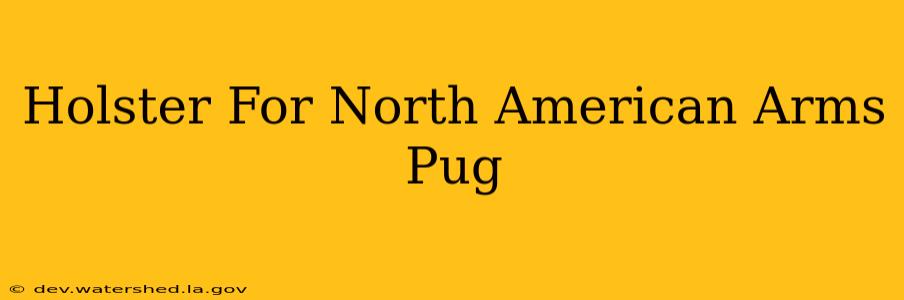 holster for north american arms pug