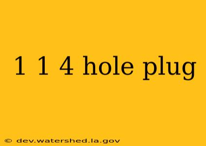 1 1 4 hole plug