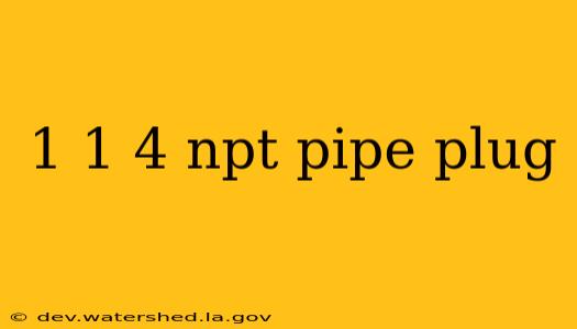 1 1 4 npt pipe plug