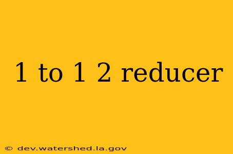 1 to 1 2 reducer