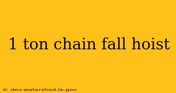 1 ton chain fall hoist