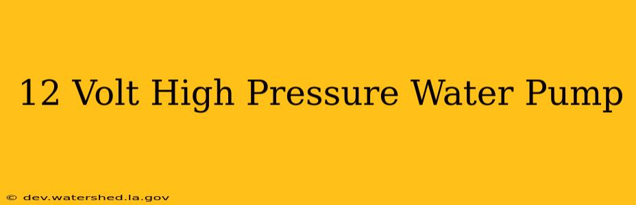 12 volt high pressure water pump