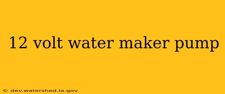 12 volt water maker pump