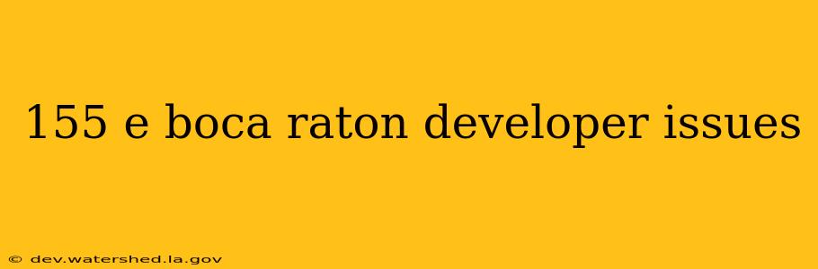 155 e boca raton developer issues