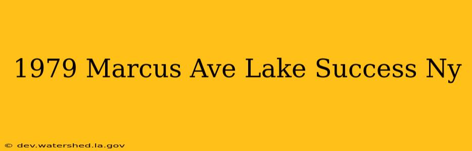 1979 marcus ave lake success ny