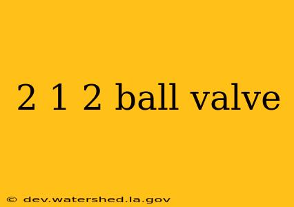 2 1 2 ball valve