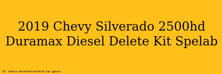 2019 chevy silverado 2500hd duramax diesel delete kit -spelab