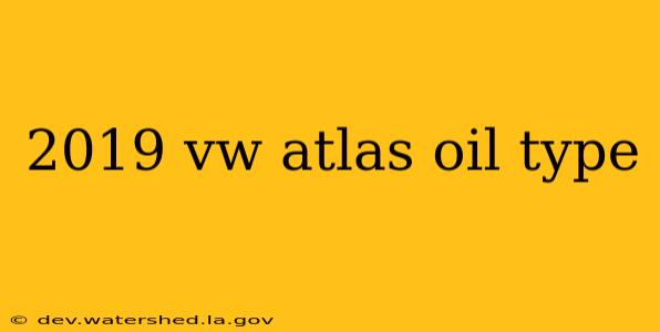2019 vw atlas oil type