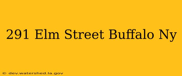 291 elm street buffalo ny