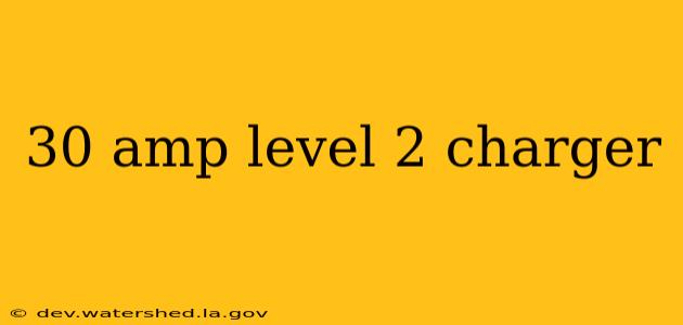 30 amp level 2 charger