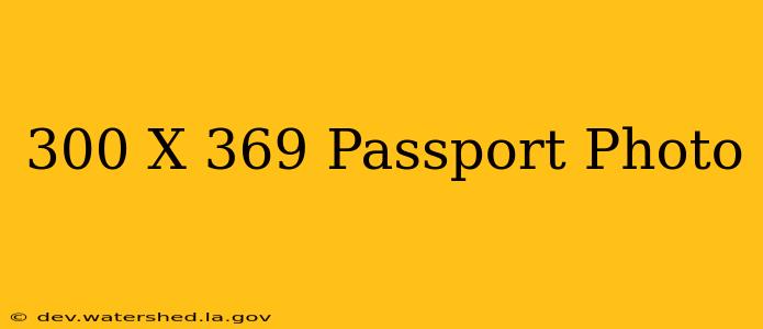 300 x 369 passport photo
