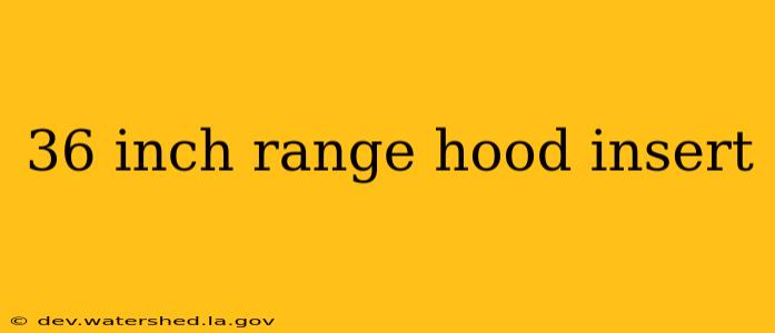 36 inch range hood insert