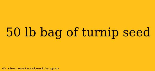 50 lb bag of turnip seed