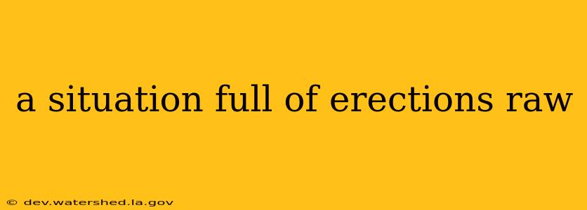 a situation full of erections raw a situation full of erections raw