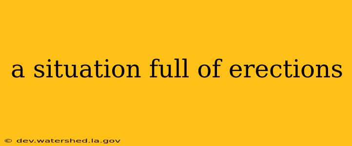 a situation full of erections