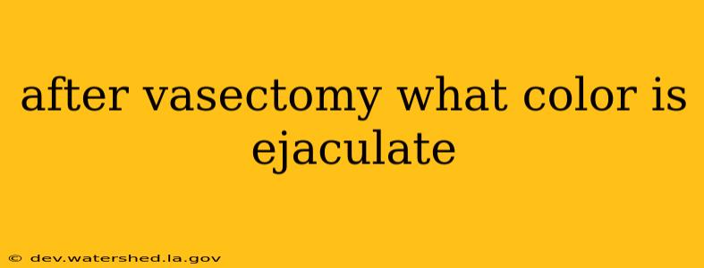 after vasectomy what color is ejaculate