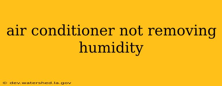 air conditioner not removing humidity