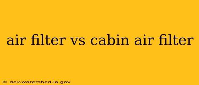 air filter vs cabin air filter