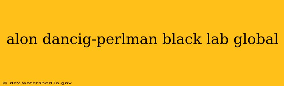 alon dancig-perlman black lab global