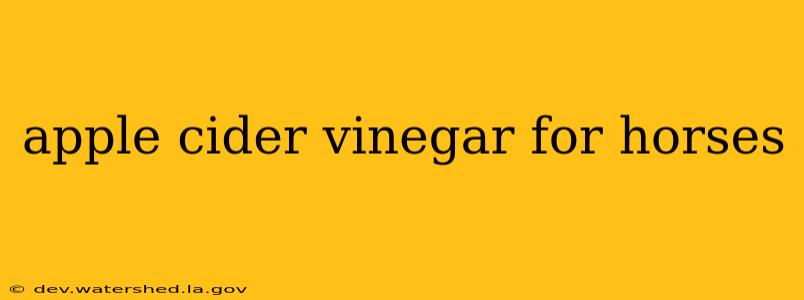 apple cider vinegar for horses