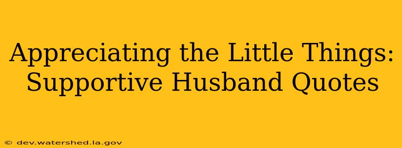 Appreciating the Little Things: Supportive Husband Quotes