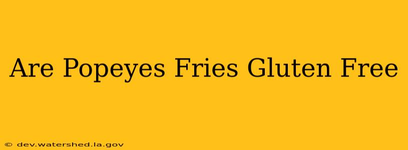 are popeyes fries gluten free