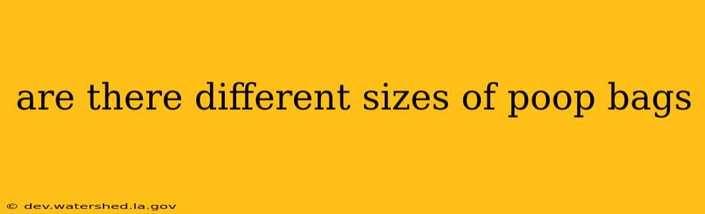 are there different sizes of poop bags