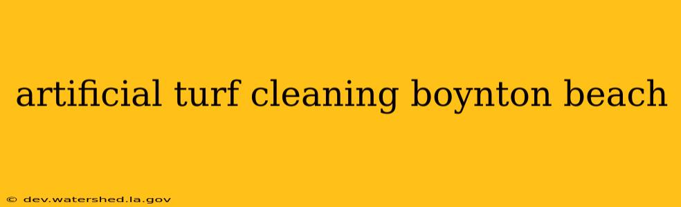 artificial turf cleaning boynton beach