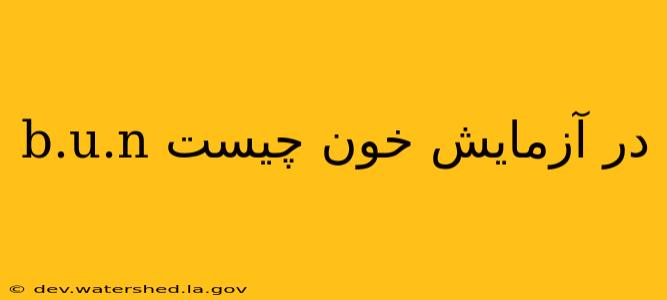 b.u.n در آزمایش خون چیست