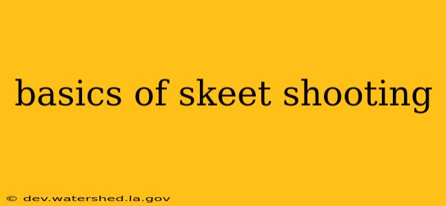 basics of skeet shooting