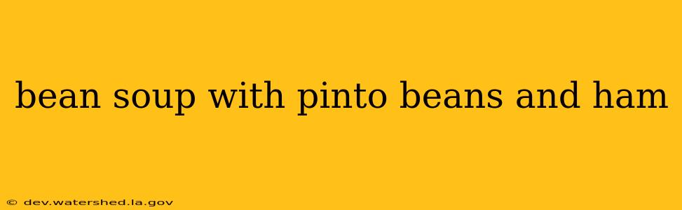 bean soup with pinto beans and ham