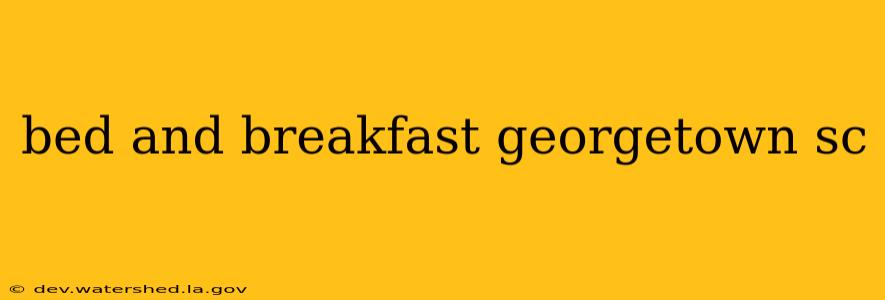 bed and breakfast georgetown sc