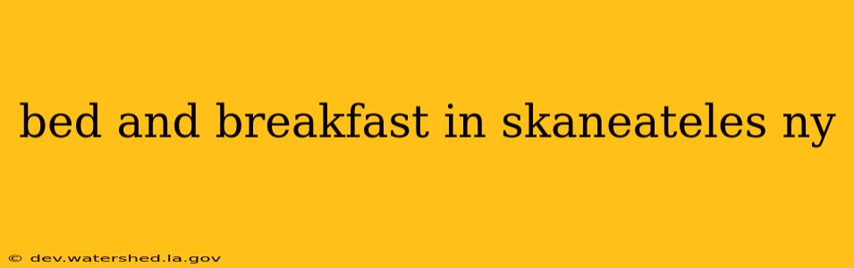 bed and breakfast in skaneateles ny