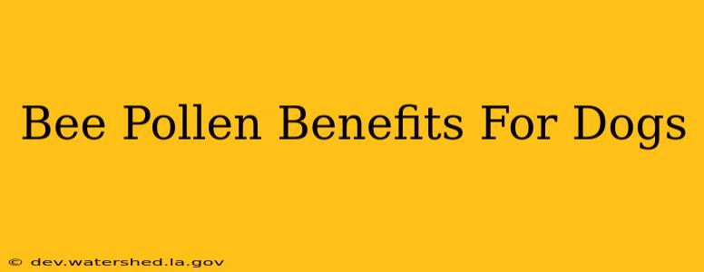 bee pollen benefits for dogs