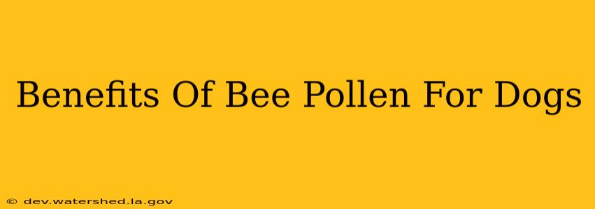 benefits of bee pollen for dogs