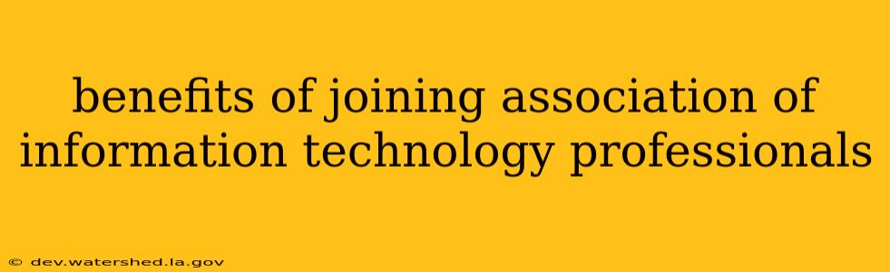 benefits of joining association of information technology professionals