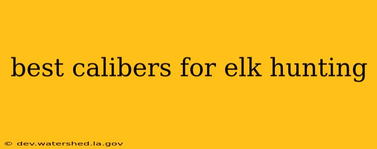best calibers for elk hunting