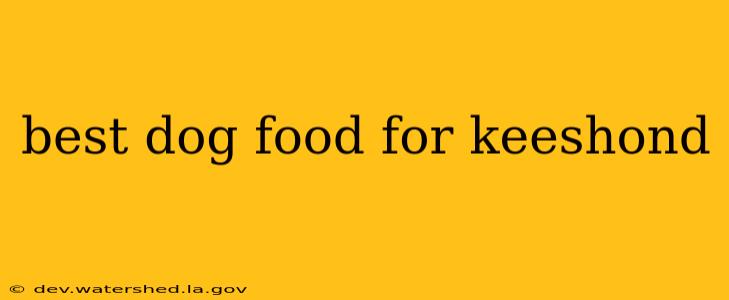 best dog food for keeshond