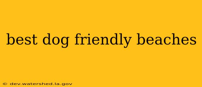 best dog friendly beaches