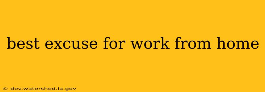 best excuse for work from home