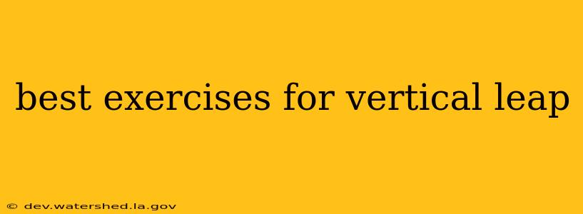 best exercises for vertical leap
