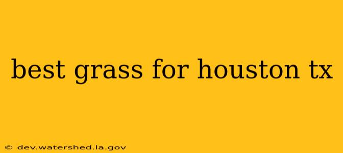best grass for houston tx