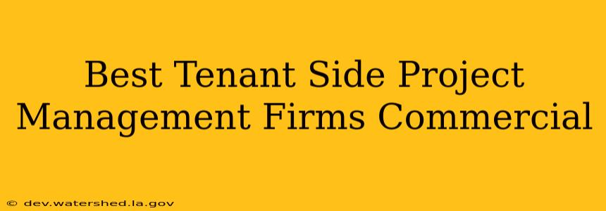 best tenant side project management firms commercial
