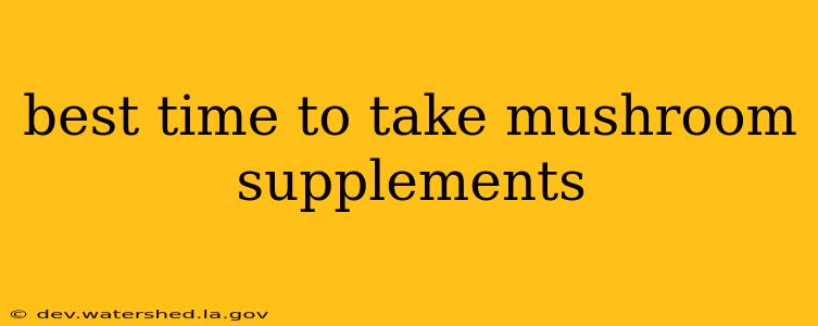 best time to take mushroom supplements