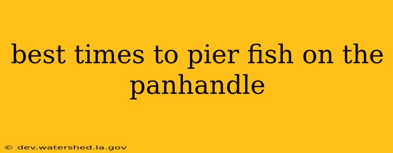 best times to pier fish on the panhandle
