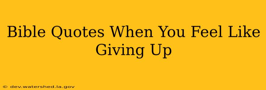 bible quotes when you feel like giving up