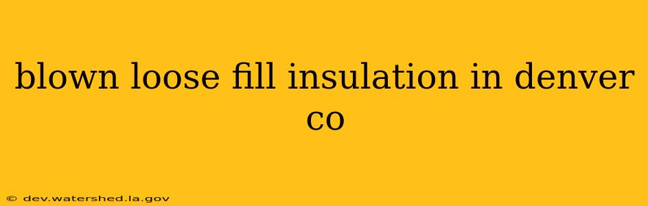 blown loose fill insulation in denver co