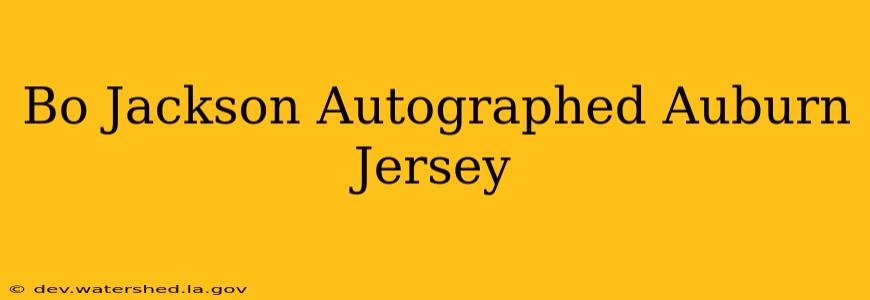 bo jackson autographed auburn jersey